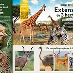 La Terrasse Du Loir A 2km Du Zoo De * 拉弗雷切