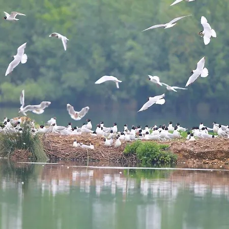 La Terrasse Du Loir A 2km Du Zoo De Дом отдыха Ла-Флеш