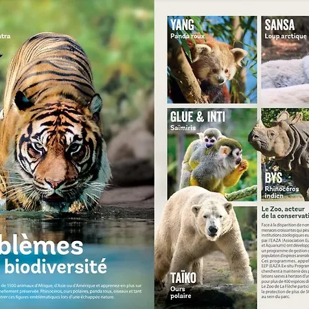 Дом отдыха La Terrasse Du Loir A 2km Du Zoo De *