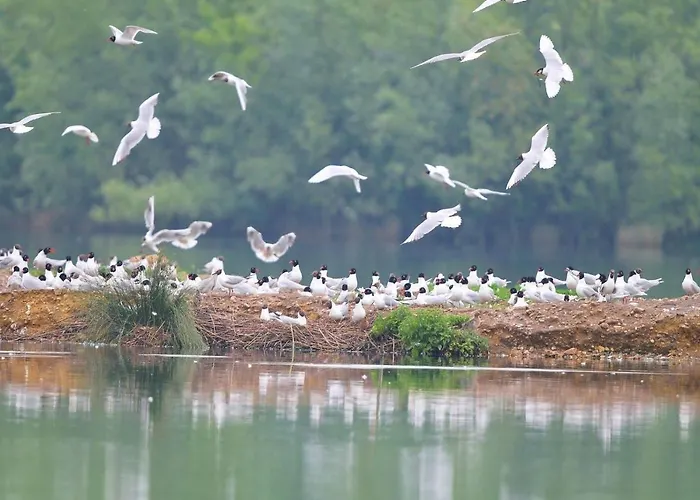 La Terrasse Du Loir A 2km Du Zoo De בית נופש La Flèche