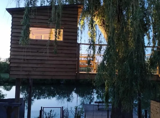 La Terrasse Du Loir A 2km Du Zoo De *