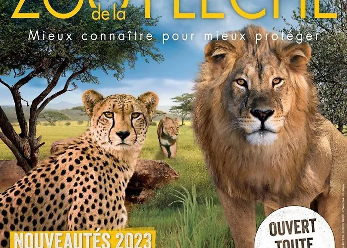 בית נופש La Terrasse Du Loir A 2km Du Zoo De *