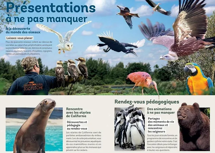 La Terrasse Du Loir A 2km Du Zoo De *