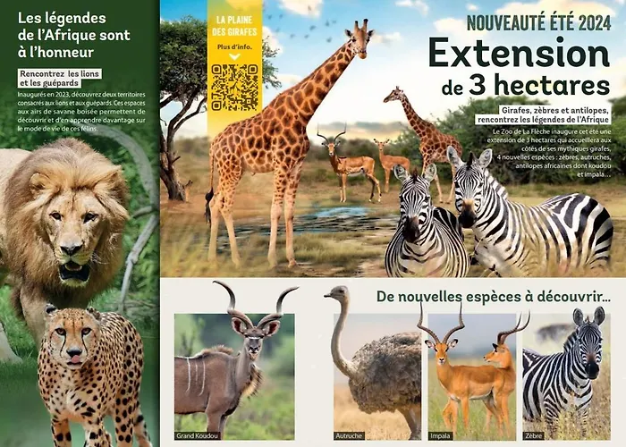 La Terrasse Du Loir A 2km Du Zoo De * La Flèche