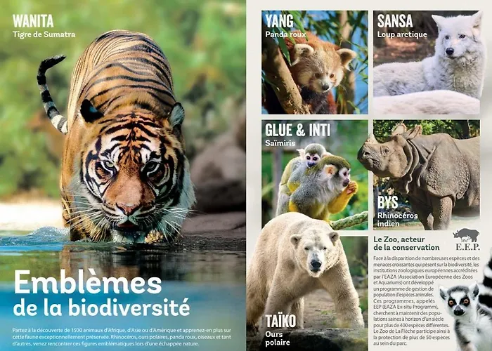 Prázdninový dům La Terrasse Du Loir A 2km Du Zoo De *